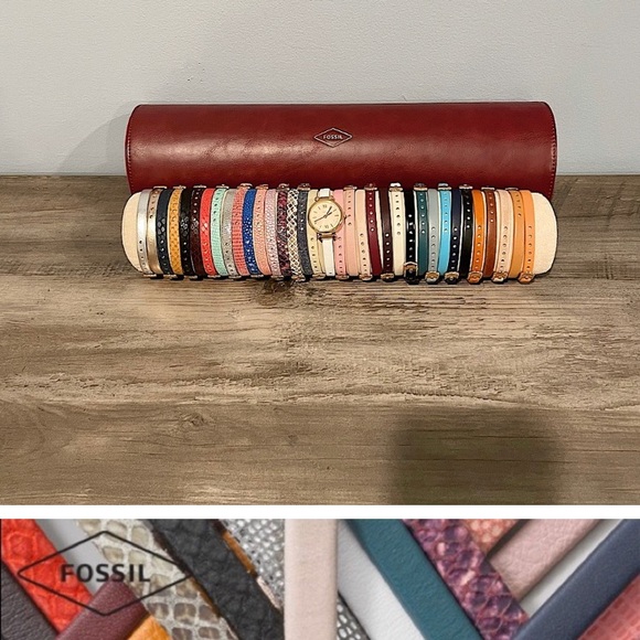 Someone has this fossil set for sale ? - Picture 2 of 2